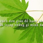 Đừng Lãng Phí Dung lang phi