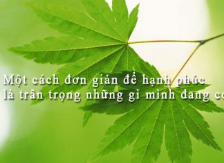 Đừng Lãng Phí Dung lang phi