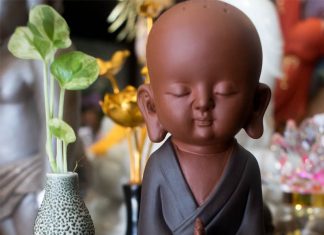 Gương mặt hoa mè Guong mat hoa me