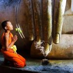 Hy Sinh Cứu Người Hy sinh cuu nguoi