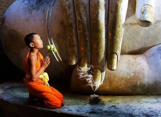 Hy Sinh Cứu Người Hy sinh cuu nguoi