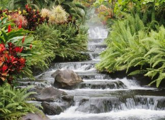 Kho Tàng Rắn Độc Kho tang ran doc