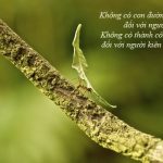 Kiếm khách lừng danh Kiem khach lung danh