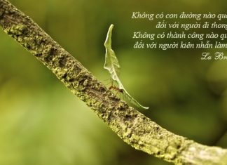 Kiếm khách lừng danh Kiem khach lung danh
