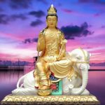 Người Dạy Voi Nguoi day voi