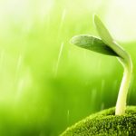 Nhân Thiện Quả Thiện Nhan thien qua thien