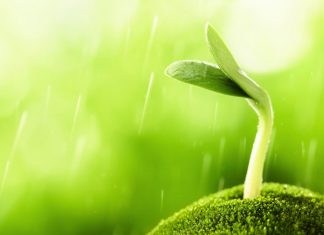 Nhân Thiện Quả Thiện Nhan thien qua thien