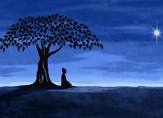 Ông hoàng lưu lạc Ong hoang luu lac