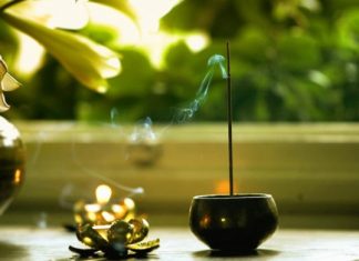 Ông Vua Kiểu Mẫu Ong vua kieu mau