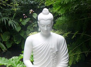 Thân Là Gốc Khổ Than la goc kho