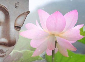 Muốn Thoát Sinh Tử Thoat vong sinh tu