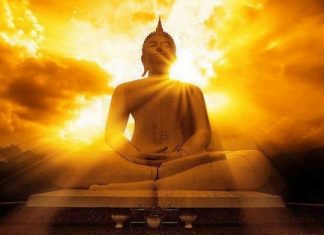 Tự Mình Cứu Lấy Mình Tu minh cuu lay minh