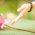 Vọng Ngữ Gặp Nạn Vong ngu gap nan