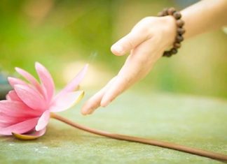 Vọng Ngữ Gặp Nạn Vong ngu gap nan