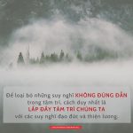 Cỏ Dại co-dai
