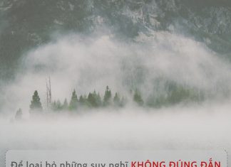 Cỏ Dại co-dai