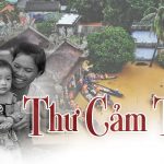 Thư Cảm Tạ slidecamta
