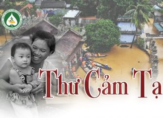 Thư Cảm Tạ slidecamta