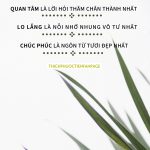 7 điều trong cuộc sống cần nhớ 7 dieu trong cuoc song can nho