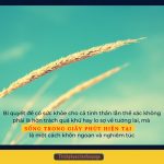 Hạnh phúc chính là hiện tại hanh phuc chinh la hien tai