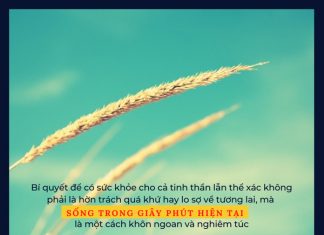 Hạnh phúc chính là hiện tại hanh phuc chinh la hien tai