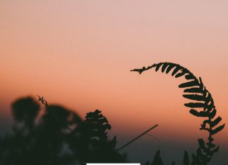 Làm người khó hay khó làm người? lam nguoi kho hay kho lam nguoi