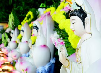 TVTV: Trang Nghiêm Lễ Vía Đức Bồ Tát Quan Thế Âm via quan am 0411 35