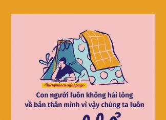 Con nai và bác thợ săn con nai va bac tho san