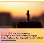 Không Vượt Qua Thất Bại khong vuot qua that bai