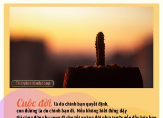 Không Vượt Qua Thất Bại khong vuot qua that bai