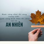 Người càng bình thản thì càng vui vẻ, an nhiên nguoi cang binh than thi cang vui ve an nhien