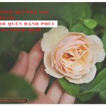 Mài bén lưỡi dao dung de qua ban ron ma quen di hanh phuc