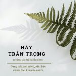Lựa chọn trước cuộc đời lua chon truoc cuoc doi