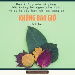 Bạn không nên.. ban khong nen
