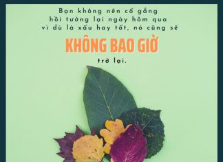Bạn không nên.. ban khong nen
