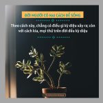 Cuộc đời thay đổi khi thái độ sống thay đổi cuoc doi thay doi khi thai do song thay doi