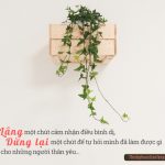 Lắng một chút cảm nhận điều bình dị lang mot chut de cam nhan dieu binh di
