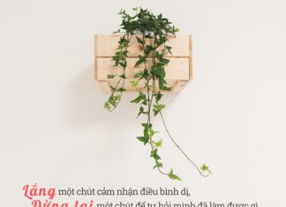 Lắng một chút cảm nhận điều bình dị lang mot chut de cam nhan dieu binh di