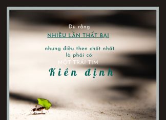 Một trái tim kiên định mot trai tim kien dinh