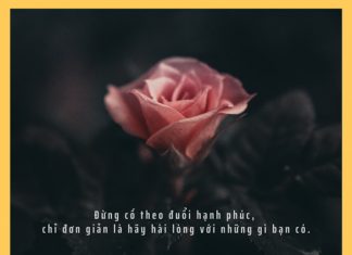 Hãy hài lòng với những gì mình đang có hay hai long voi nhung gi minh dang co