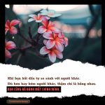 Hãy là chính mình, đừng so sánh với người khác hay la chinh minh