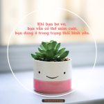Học cách mỉm cười hoc cach mim cuoi
