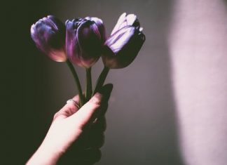 Đi với người ưu tú, bạn sẽ đi được ngày càng xa hơn pexels photo 1104365