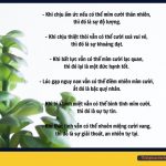 Để tâm hết mỏi mệt de tam het met moi