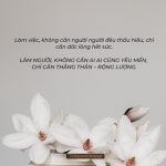 Hoa dại trong núi sâu dù không ai thưởng thức vẫn tỏa hương thơm ngát hoa dai