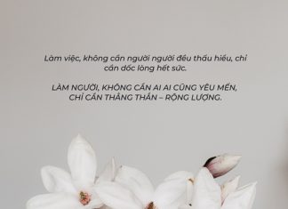 Hoa dại trong núi sâu dù không ai thưởng thức vẫn tỏa hương thơm ngát hoa dai