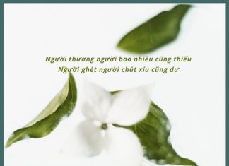 Hãy trách mình sao không đủ thứ tha khong du thu tha