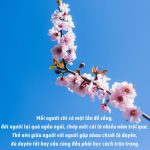 Phật dạy lòng người rộng bao nhiêu thì hạnh phúc, may mắn sẽ nhiều bấy nhiêu long nguoi rong bao nhieu hanh phuc bay nhieu