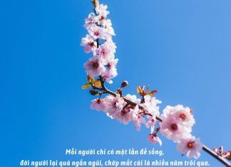 Phật dạy lòng người rộng bao nhiêu thì hạnh phúc, may mắn sẽ nhiều bấy nhiêu long nguoi rong bao nhieu hanh phuc bay nhieu