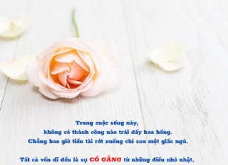 Bắt đầu mọi thứ từ những điều nhỏ nhặt nhung dieu nho nhat